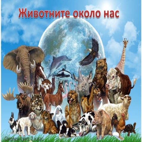 животните около нас