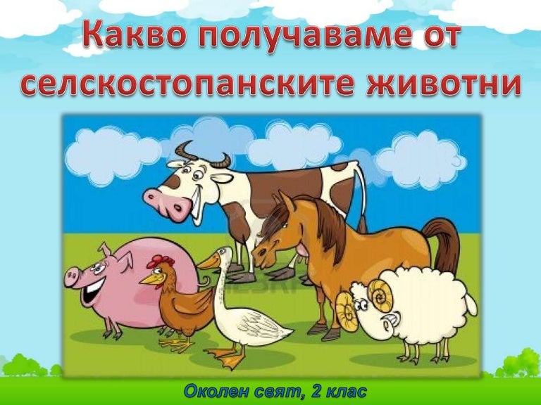 селскостопански животни