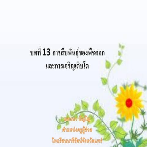 ผลและเมล็ดแก้