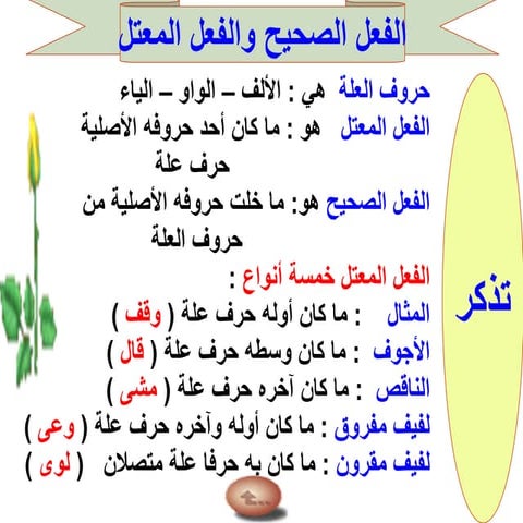 الفعل الصحيح والفعل المعتل