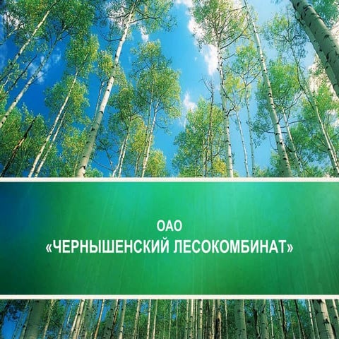 чернышенский лесокомбинат