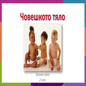 човешкото тяло