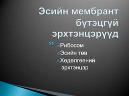 цусны эргэлт хүн 10 | PPT