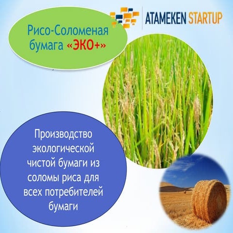 ЭКО + | PPT