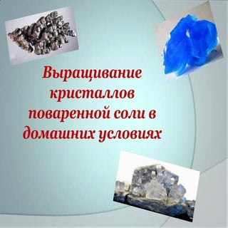 Демко Н., Ковалик О. Выращивание кр...