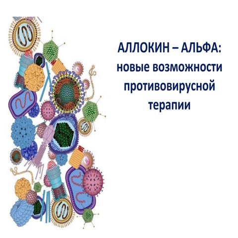 аллокин альфа иммунолог спб | PPT