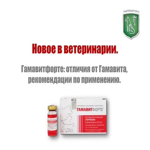гамавитфорте отличие кратко | PPT