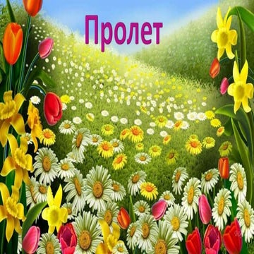 описание на пролетта