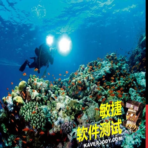 敏捷软件测试之简介