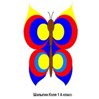 бабочки летают бабочки