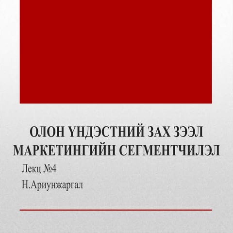 олон үндэстний зах зээл маркетингийн сегментчилэл
