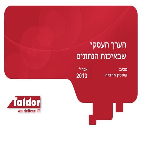 הערך העסקי שבאיכות הנתונים   קוסטין מרזאה