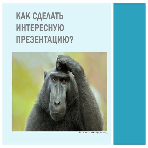 7 Идей как сделать презентацию интересной