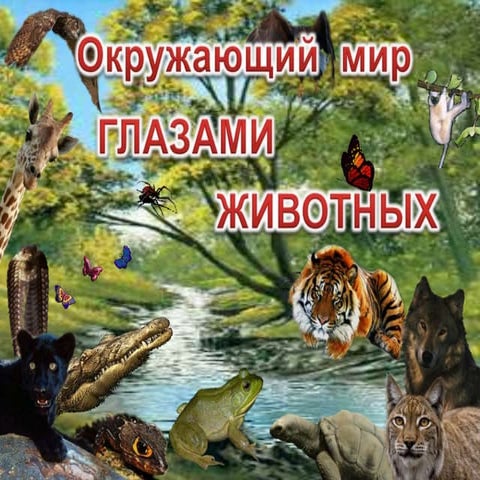 окружающий мир | PPT