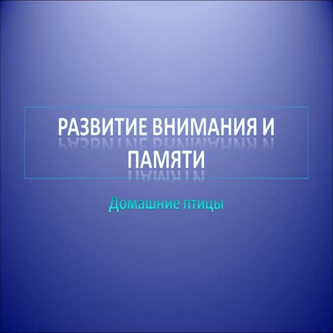Развитие внимания и памяти