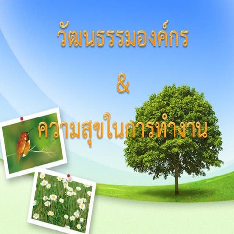 วัฒนธรรมองค์กร