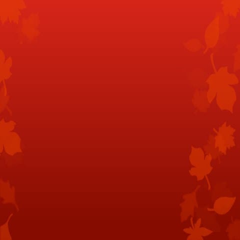 وأحسن الناس من بين الورى رجل