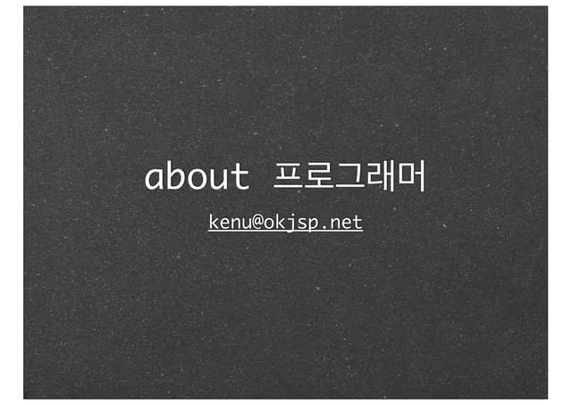 프로그래머