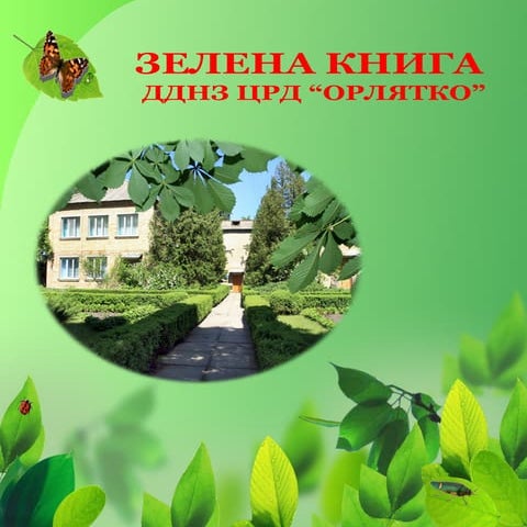 Зелена книга ЦРД "Орлятко" | PDF