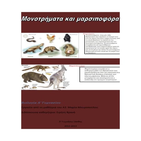 Μονοτρήματα και μαρσιποφόρα