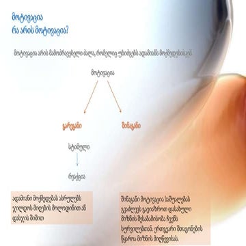 სალომე მჭედლიშვილი; მოტივაცია