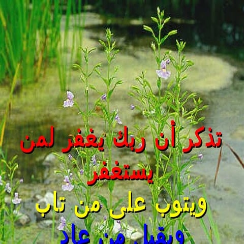 Al rab le ra3y | PPT