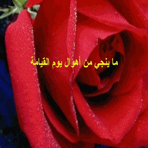 ما ينجي من أهوال يوم القيامة