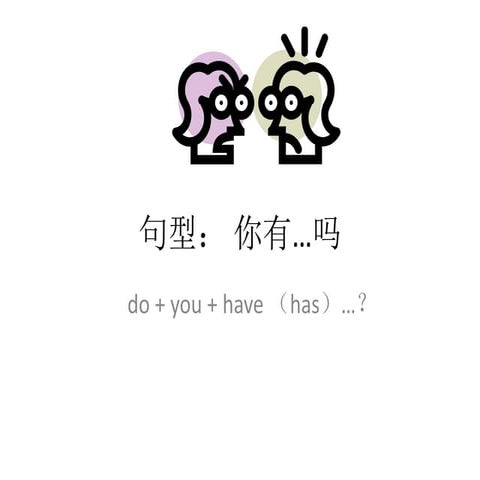 句型： 你有吗