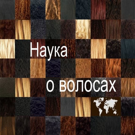 волосы раскрывают свои тайны | PPT