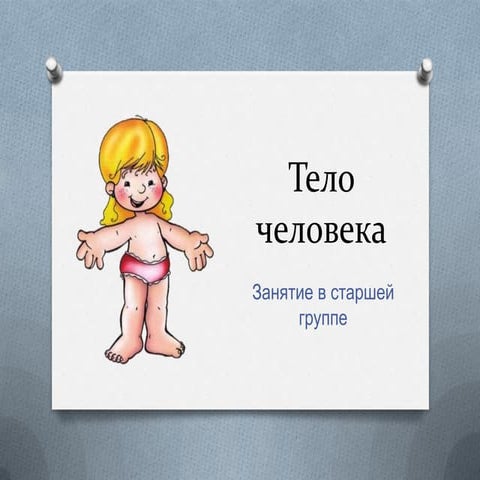 тело человека