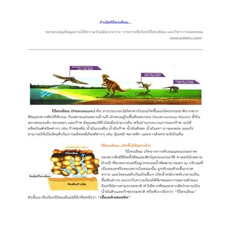 กำเนิดปิโตรเลียม