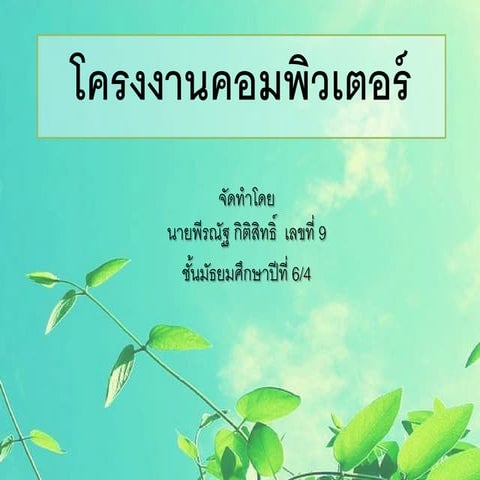โครงงานคอมพิวเตอร์