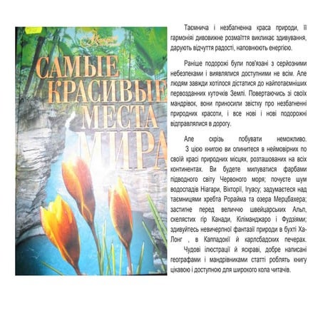 книга | PPT