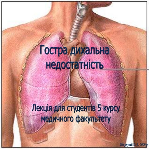 гдн | PPT
