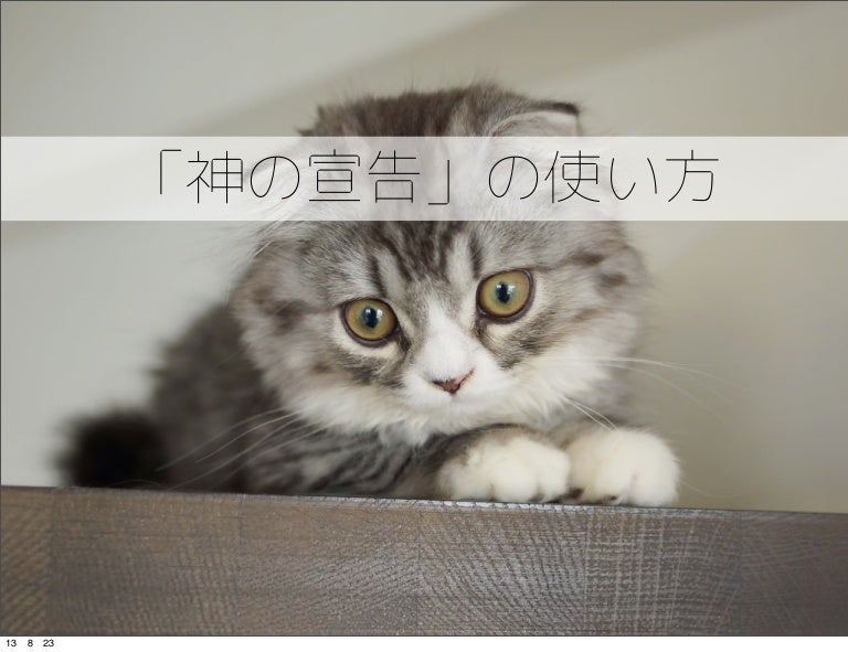 神の宣告の使い方