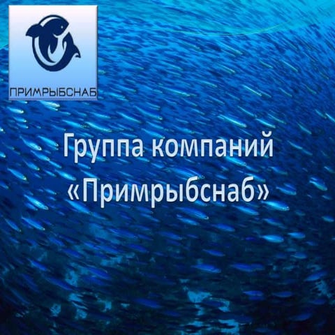 гк «примрыбснаб» | PPT
