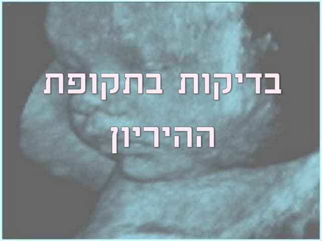 .גרסה 2   טיפולים בהיריון   מכון על...