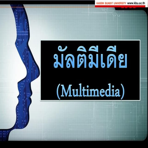 มัลติมีเดีย