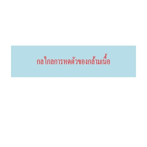 กลไกการหดตัวของกล้ามเนื้อ