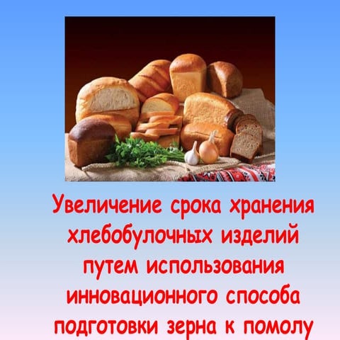 "Здоровый мякиш". Atameken Startup Kostanay, 30 aug-1 sept 2013.