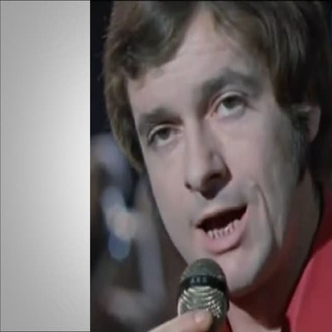 ЖУРАВЛИ / COCORII