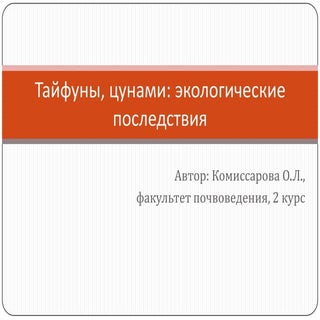тайфуны, цунами