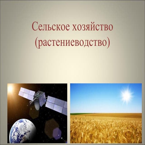Сельское хозяйство (растениеводство)