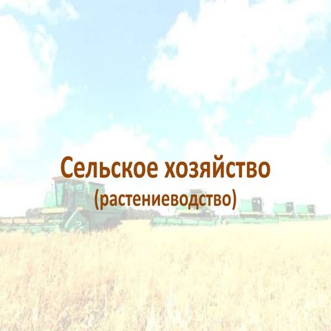 сельское хозяйство
