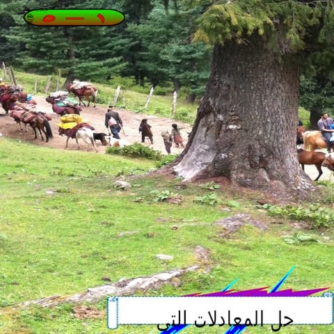 حل المعادلات التي تتضمن القيمة المطلقة