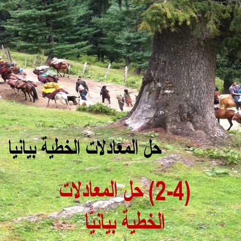 حل المعادلات الخطية بيانياً