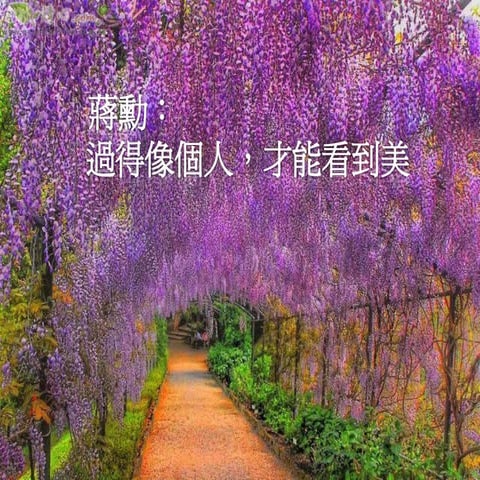 過得像個人，才能看到美