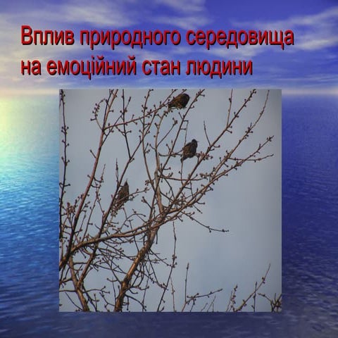 Вплив природного середовища на емоційний стан людини (мультимедійна презентація)