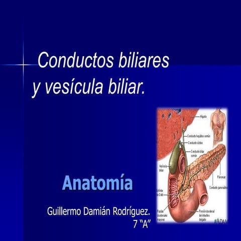 CÁNCER DE VESICULA Y VÍAS BILIARES