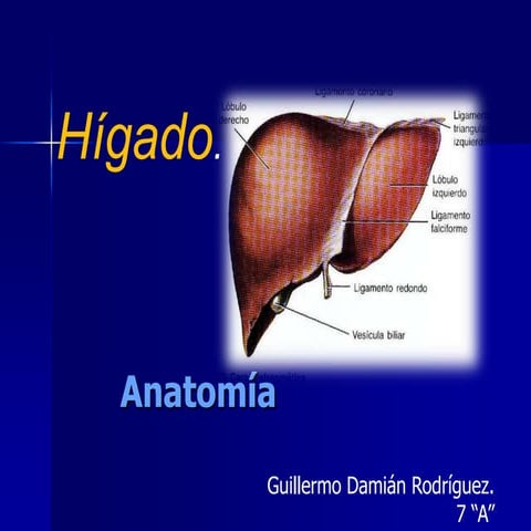 CÁNCER HEPATOCELULAR